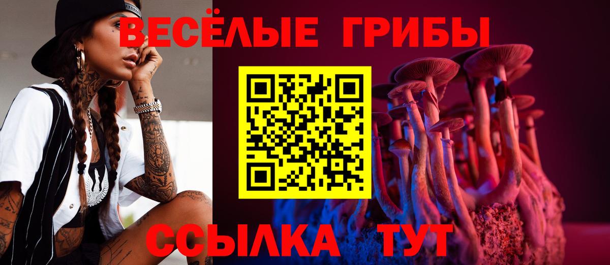 Галлюциногенные грибы мицелий Саров